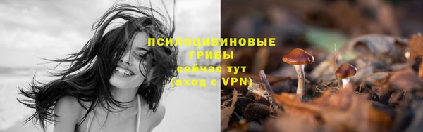 прущие крисы Арсеньев