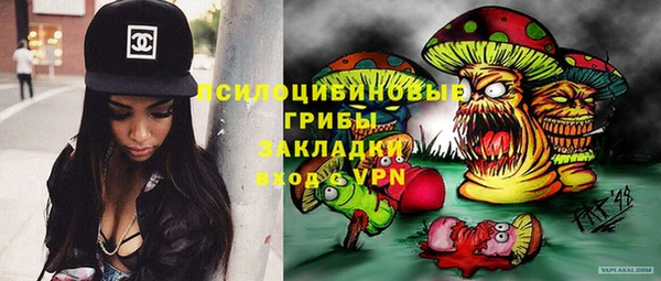 прущая мука Алзамай