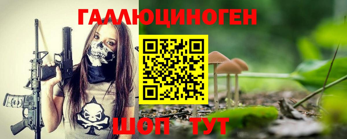 купить наркотик  Вход с VPN  Волхов  Галлюциногенные грибы Psilocybine cubensis  Галлюциногенные грибы Psilocybine cubensis 