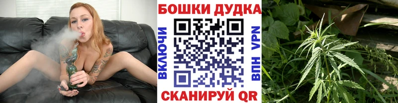 Бошки Шишки семена  Волхов 